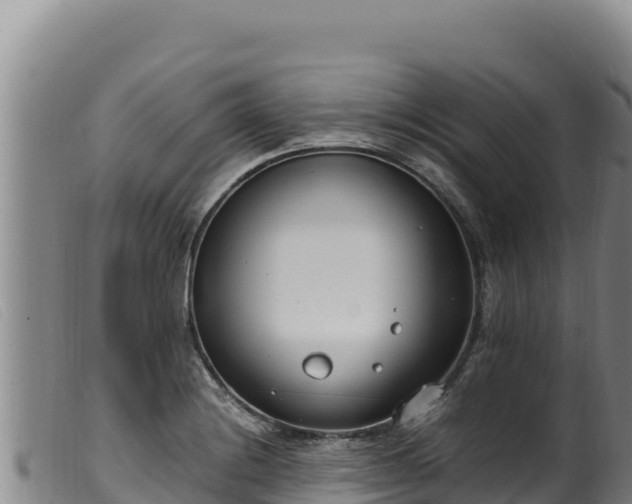 X0000099551228200805231143