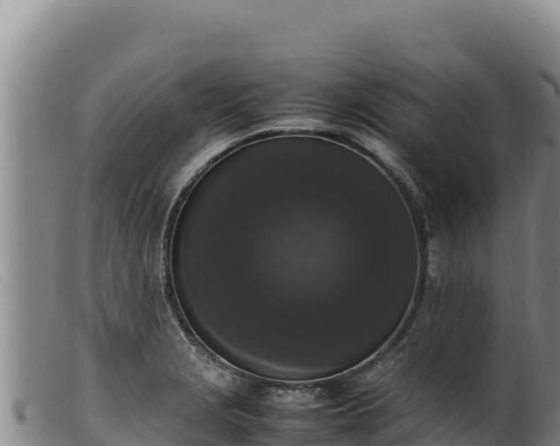 X0000099551229200805231143