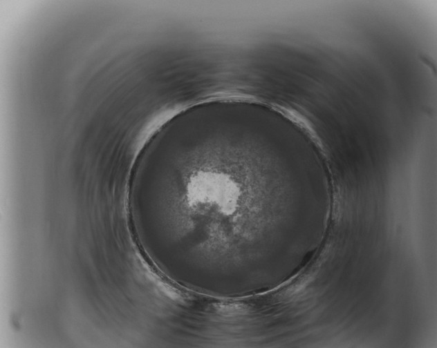 X0000099551231200805231143