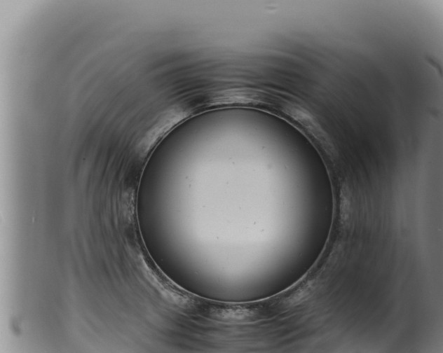 X0000099551233200805231143