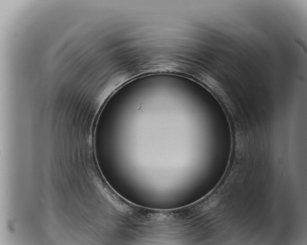 X0000099551234200805231143