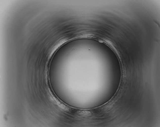 X0000099551235200805231143