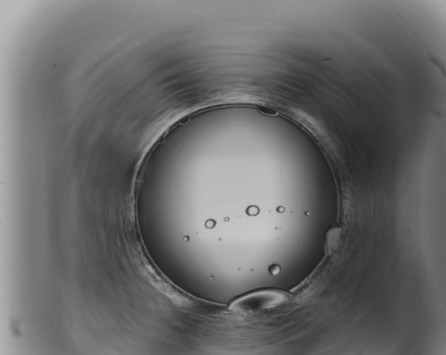 X0000099551236200805231143