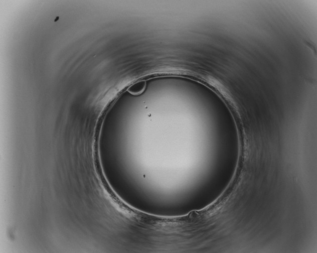 X0000099551237200805231143