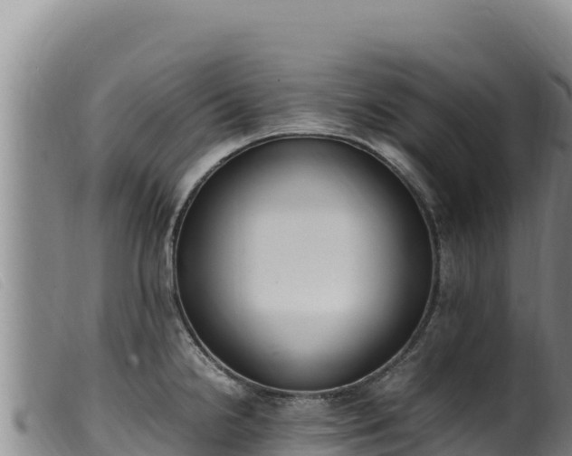 X0000099551238200805231143