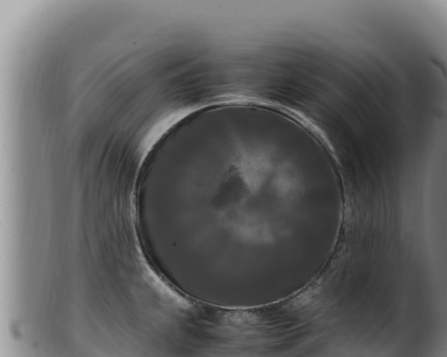 X0000099551239200805231143