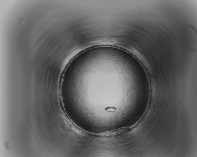 X0000099551240200805231143