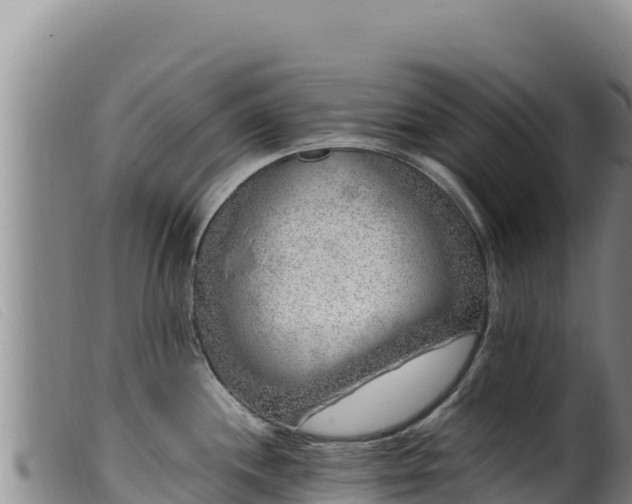 X0000099551244200805231143