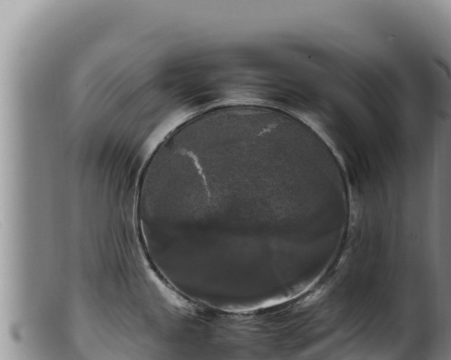 X0000099551245200805231143