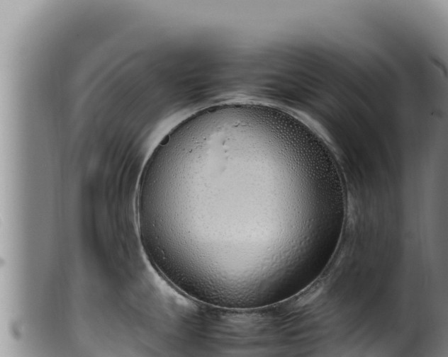 X0000099551247200805231143