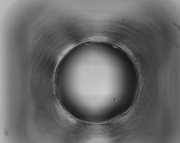 X0000099551248200805231143