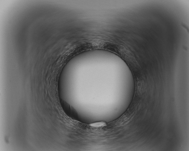 X0000099551249200805231142