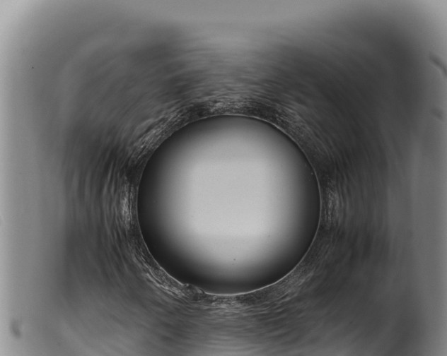 X0000099551250200805231142