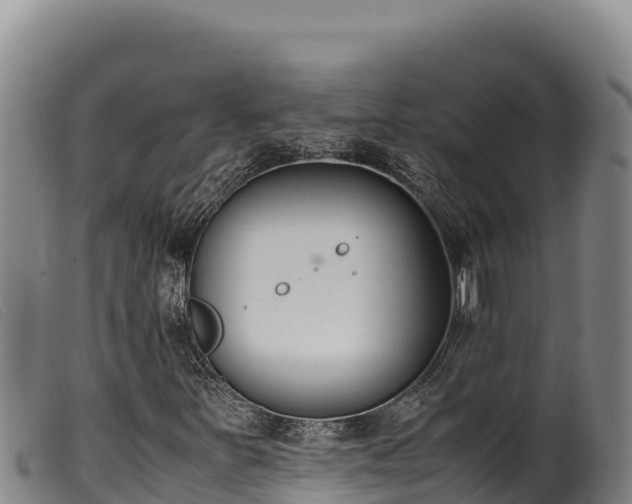 X0000099551251200805231142