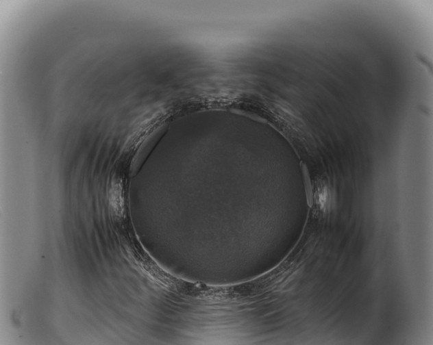 X0000099551252200805231142