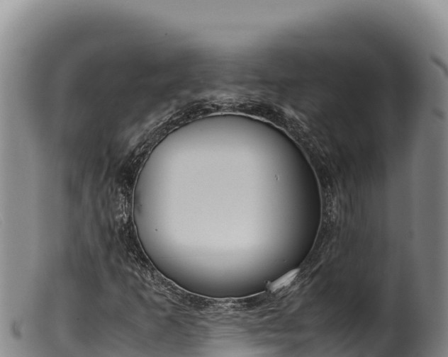 X0000099551253200805231142