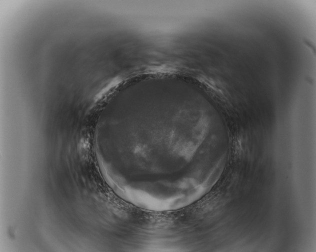 X0000099551254200805231142