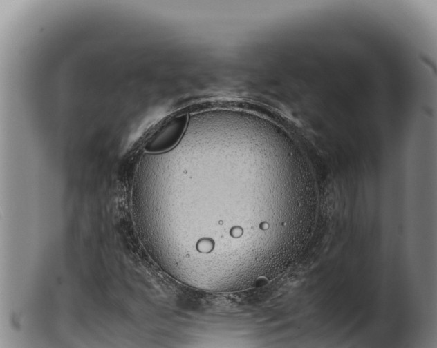 X0000099551255200805231142