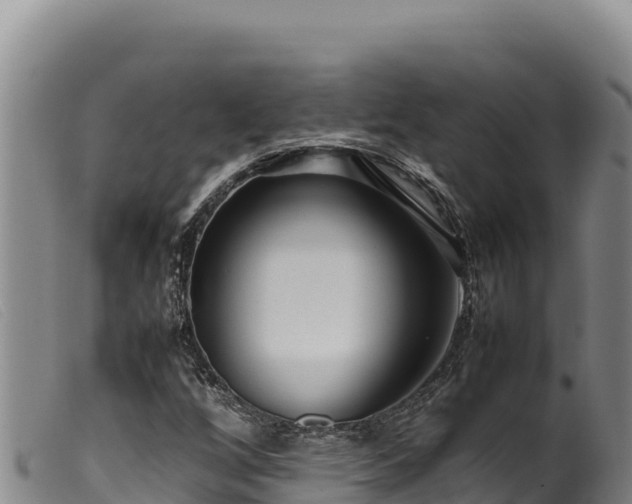 X0000099551256200805231142