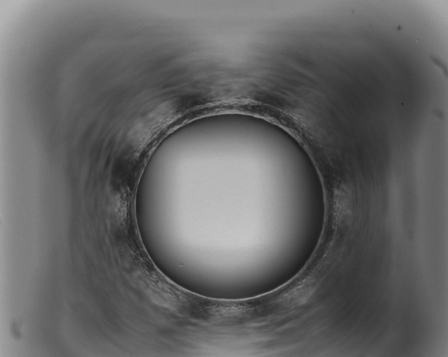 X0000099551257200805231142