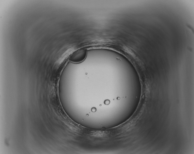 X0000099551259200805231142