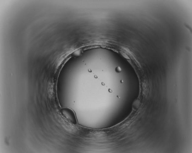 X0000099551260200805231142