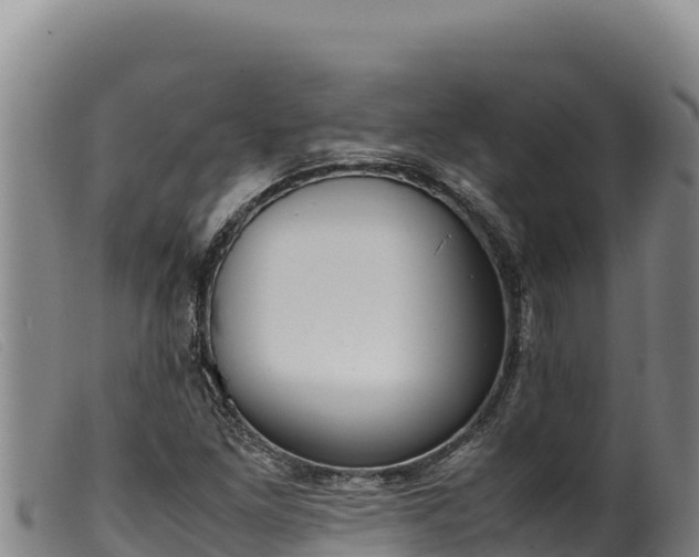 X0000099551261200805231142