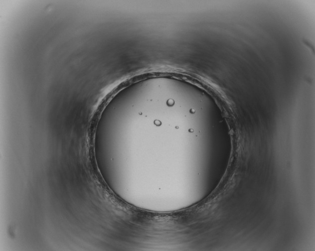 X0000099551264200805231142