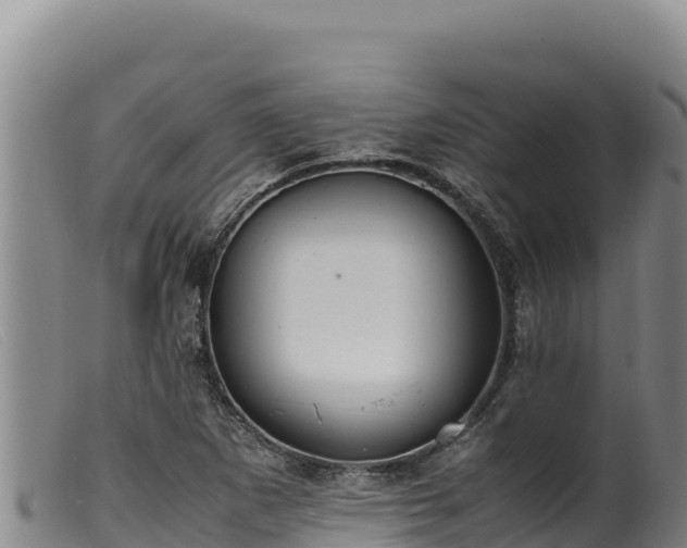 X0000099551265200805231142