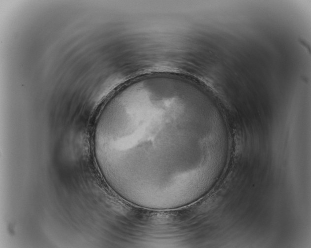 X0000099551266200805231142