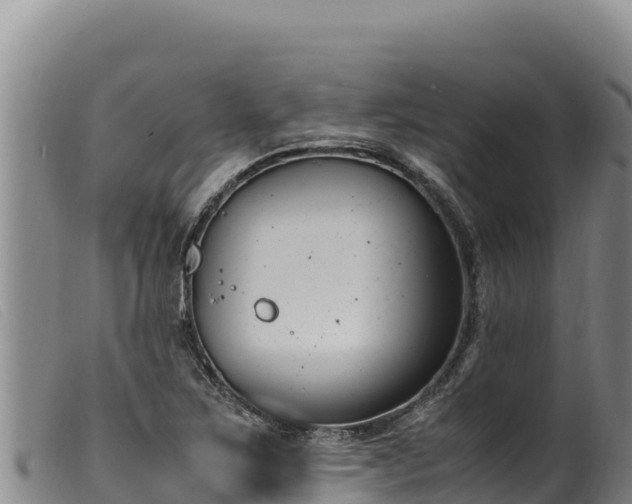 X0000099551267200805231142