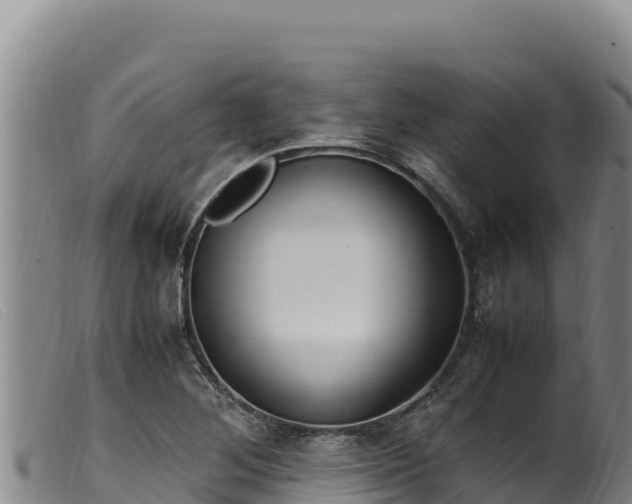 X0000099551268200805231142