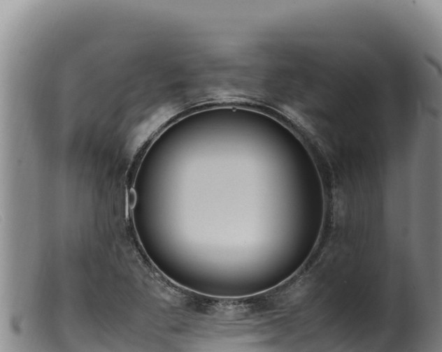 X0000099551269200805231142