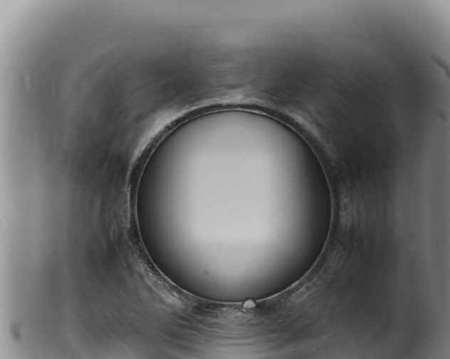 X0000099551270200805231142