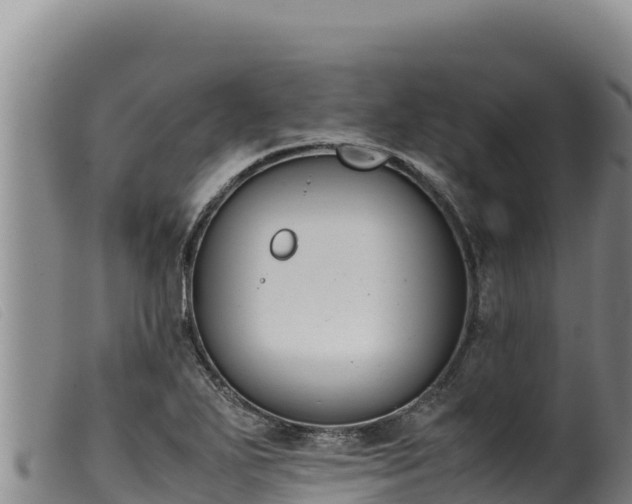 X0000099551271200805231142