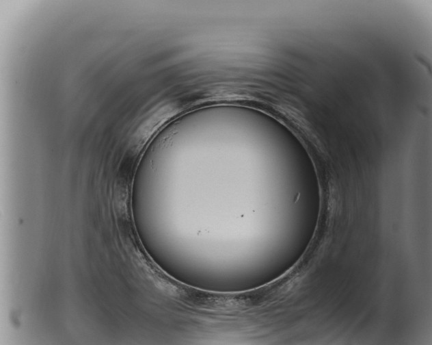 X0000099551273200805231142