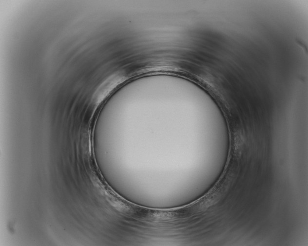 X0000099551274200805231142