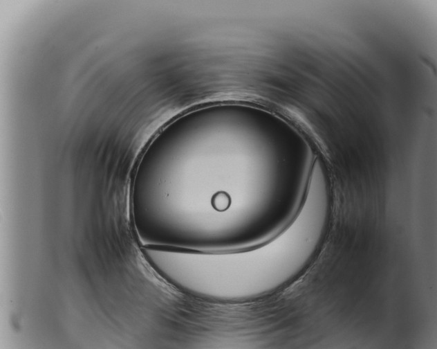 X0000099551276200805231142