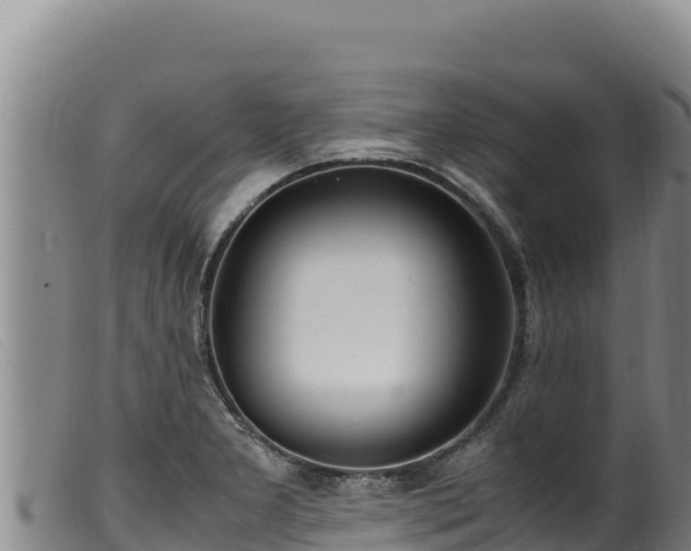 X0000099551277200805231142