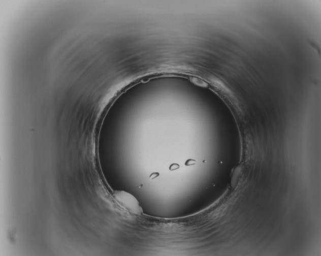 X0000099551280200805231142