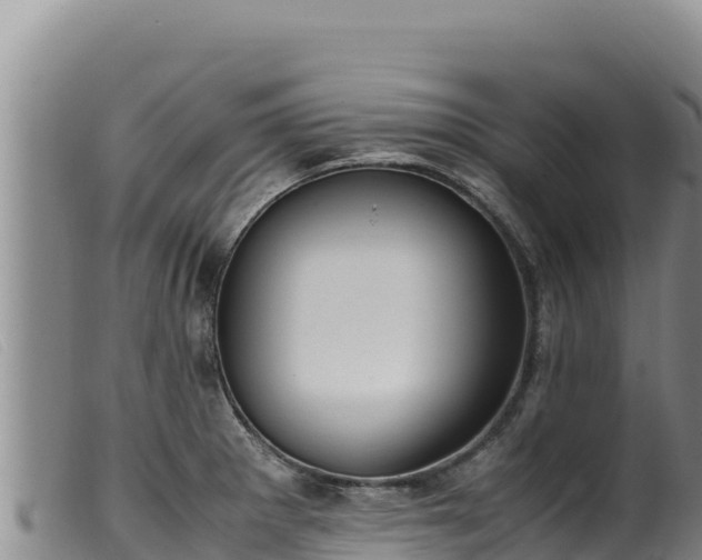 X0000099551281200805231142