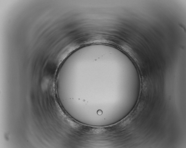 X0000099551282200805231142