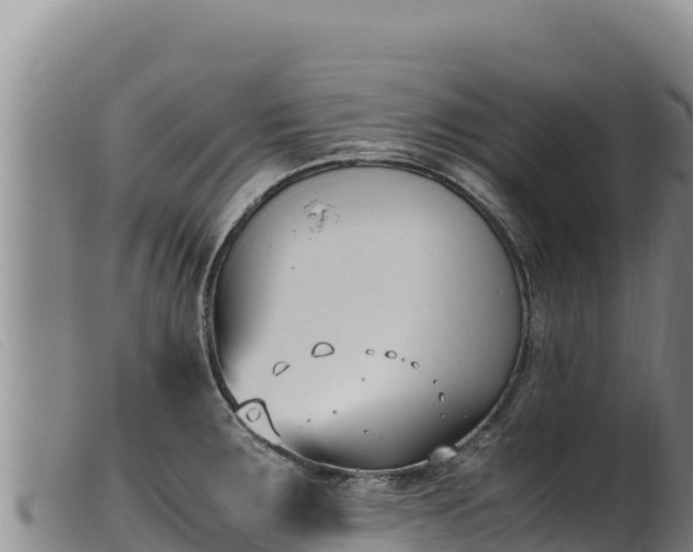 X0000099551283200805231142