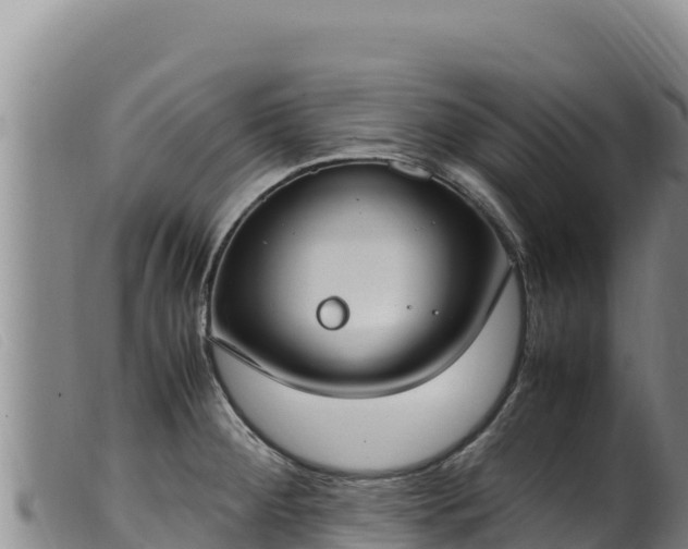 X0000099551284200805231142