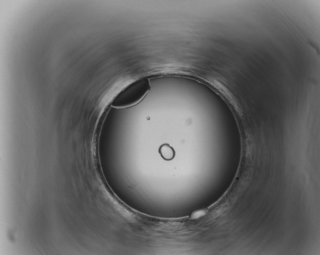 X0000099551285200805231142