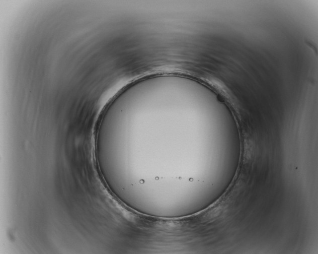 X0000099551286200805231142