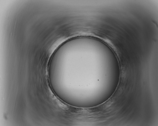 X0000099551287200805231142