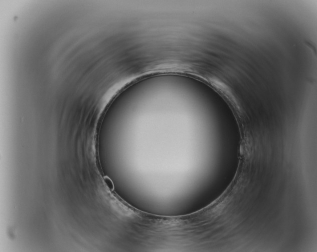 X0000099551288200805231142