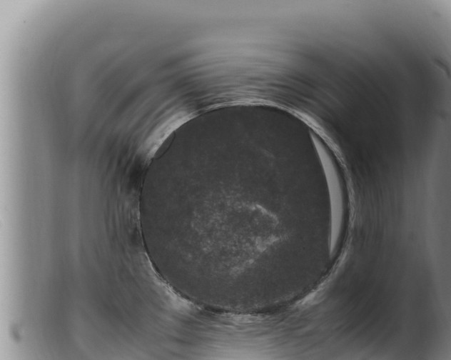 X0000099551289200805231142