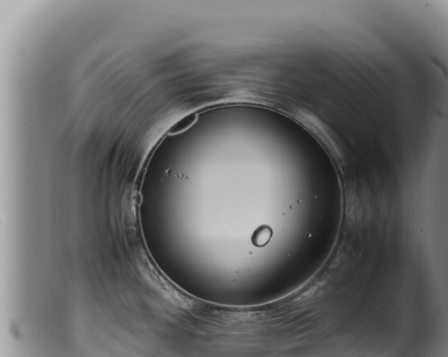 X0000099551292200805231142